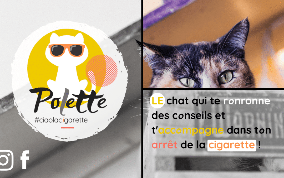 Polette, le chat connecté qui pense à ta santé !